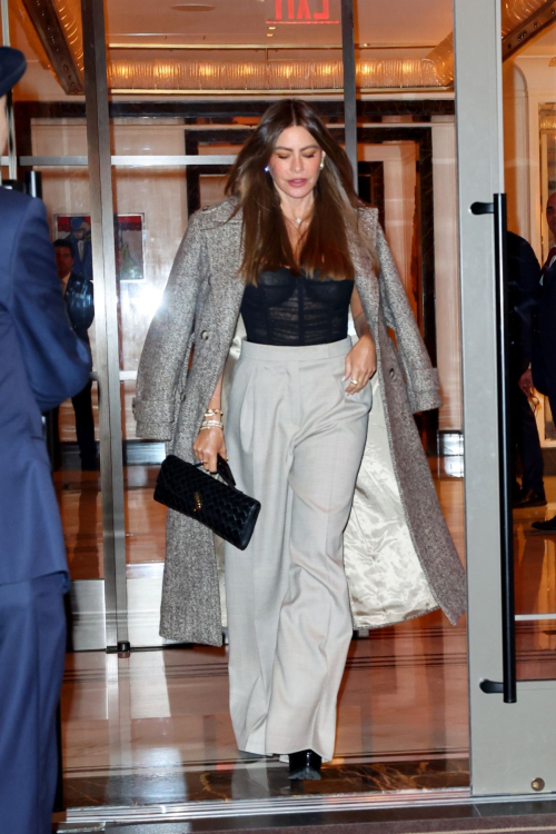 Sofia Vergara Out for Dinner in New York City, January 2025 4