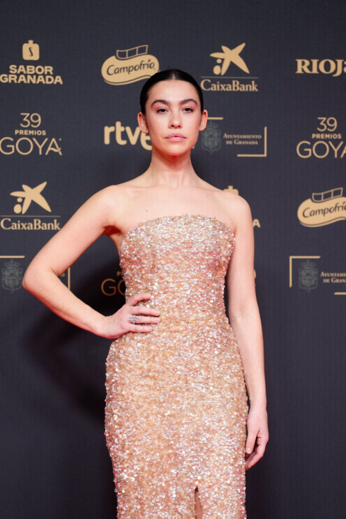 Greta Fernandez at 39th Goya Cinema Awards, February 2025 1