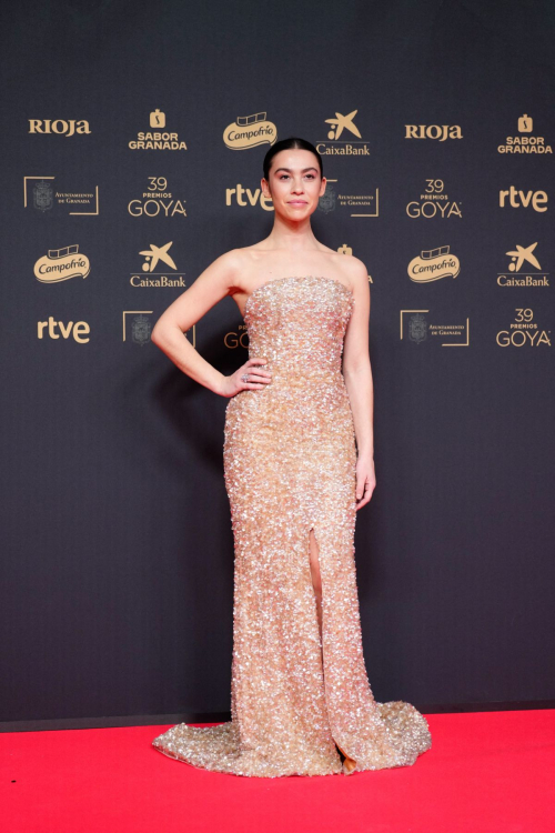 Greta Fernandez at 39th Goya Cinema Awards, February 2025 4