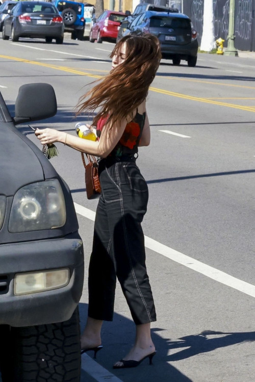 Scout Willis Out for Lunch in Los Feliz, February 2025 4