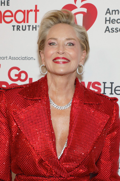 Sharon Stone at AHA