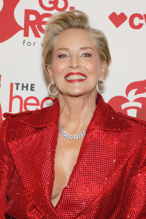 Sharon Stone at AHA