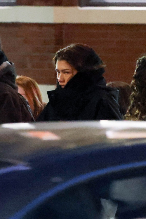 Zendaya Out with Family in Boston, Dec 2024