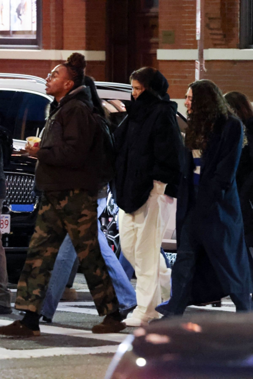 Zendaya Out with Family in Boston, Dec 2024 2