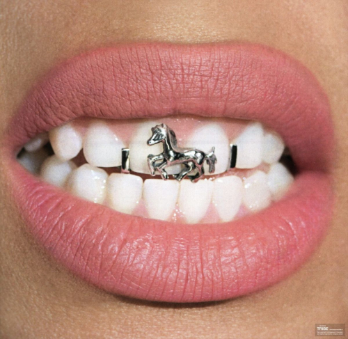 Beyonce Cowboy Carter Art Book, 2025 31