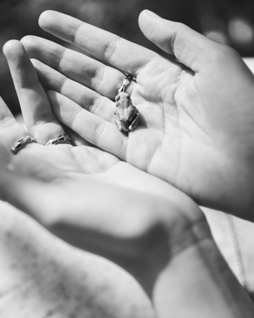 Celeste Dalla Porta Collectible Dry Feature, Summer 2025 5