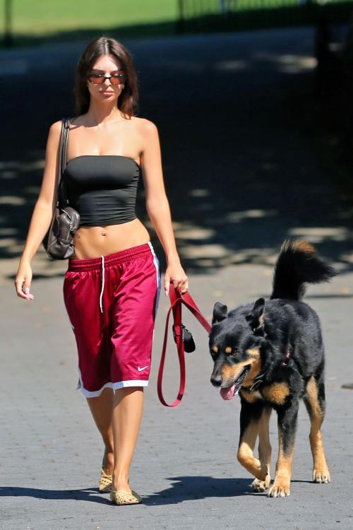 Emily Ratajkowski Walks Her Dog in Brooklyn, June 2025 5