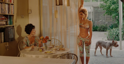 Kim Kardashian for Skims Cavalli 2025 2