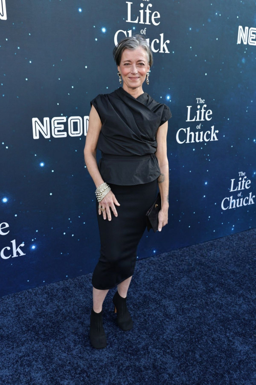Mia Sara at Life of Chuck Screening LA, June 2025 6