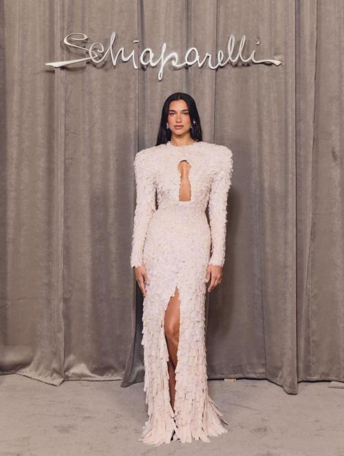Dua Lipa elegant photoshoot session, July 2025 12