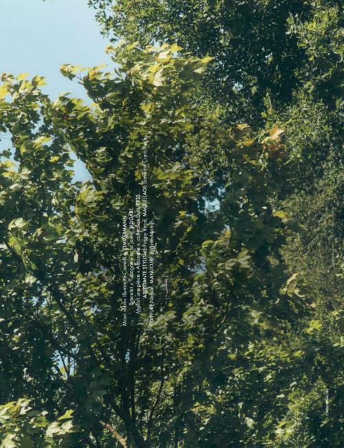 Marine Vacth featured in Elle France, July 2025 3