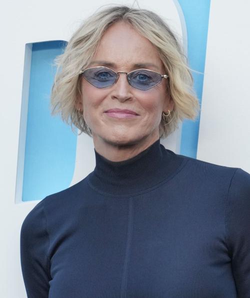 Sharon Stone Nobody 2 Premiere Hollywood, May 2025 6