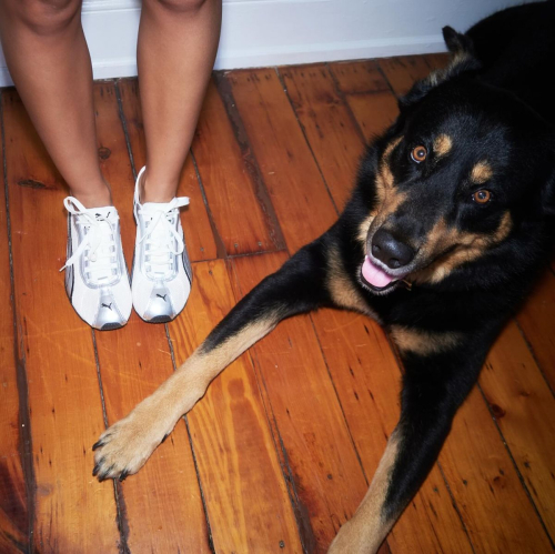 Emily Ratajkowski for Puma Fall, 2025 1