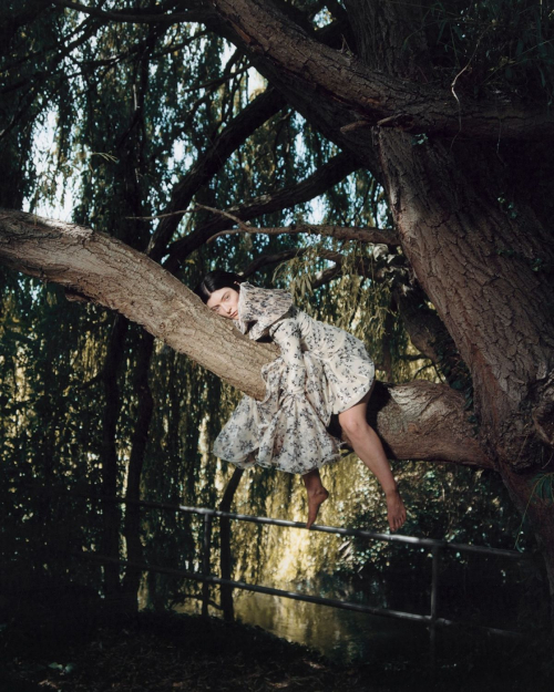 Lorde for Dazed Magazine, Autumn 2025 6