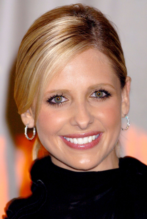 Sarah Michelle Gellar French Premiere The Grudge, December 2004 3