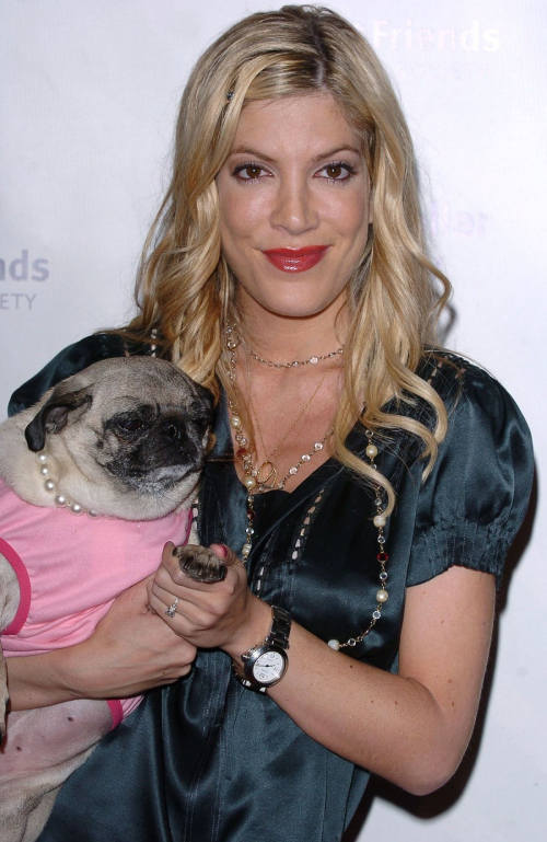 Tori Spelling at Lint Roller Party Los Angeles, April 2004