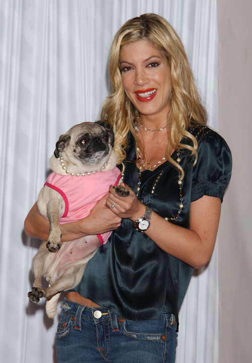 Tori Spelling at Lint Roller Party Los Angeles, April 2004 2