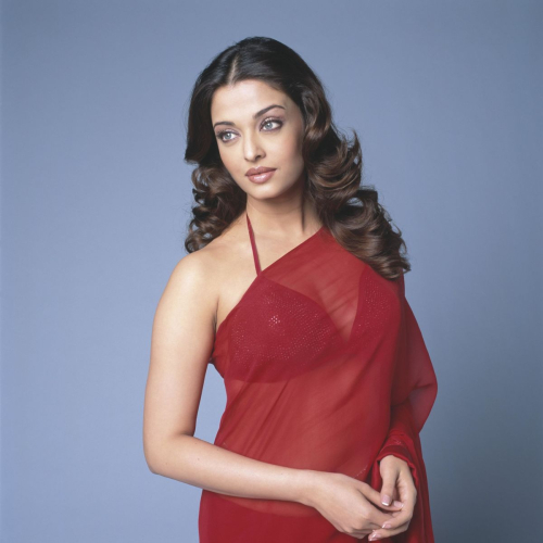 Aishwarya Rai Mistress of Spices Promoshoot 14