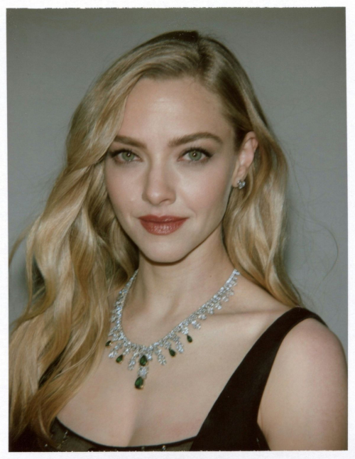 Amanda Seyfried Academy Museum Gala Polaroids, October 2025 1