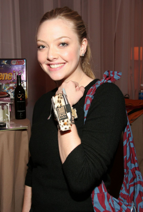 Amanda Seyfried at AFI Festival Lounge, 2005