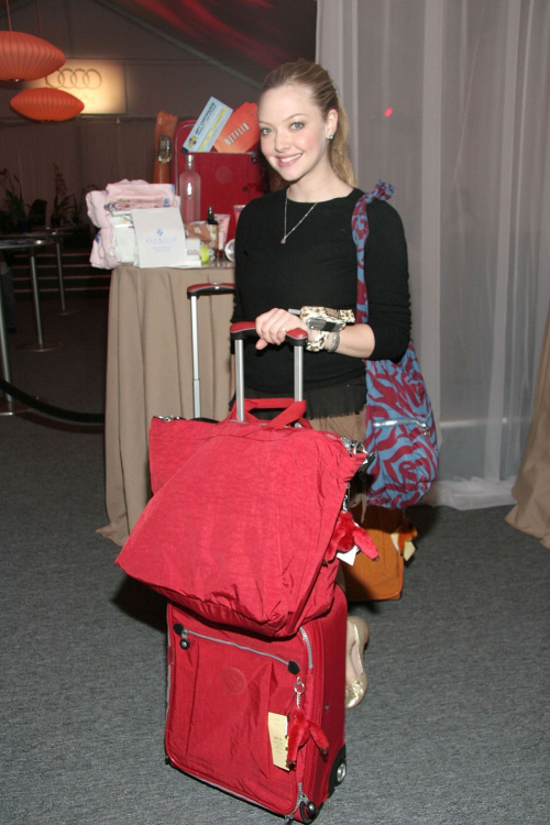 Amanda Seyfried at AFI Festival Lounge, 2005 5