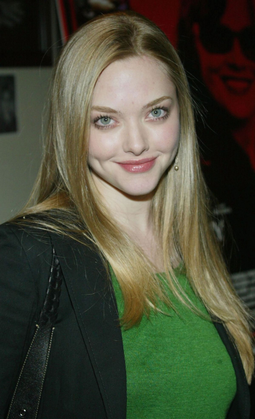 Amanda Seyfried at Imaginary Heroes Premiere Los Angeles 2