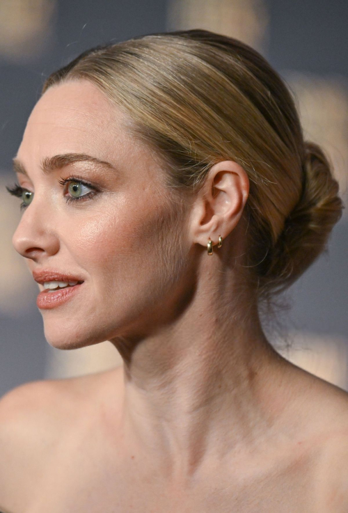 Amanda Seyfried Receives Vanguard Award at SCAD Fest, October 2025 7