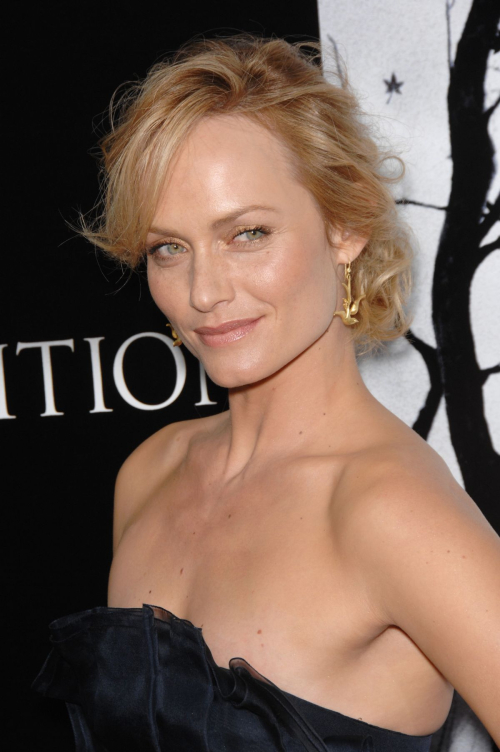 Amber Valletta at Premonition Premiere in Los Angeles, 2007 5
