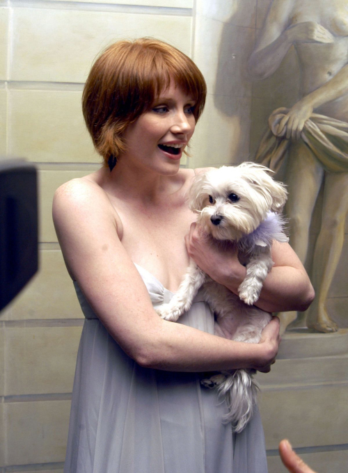 Bryce Dallas Howard at National Arts Club Stella by Starlight Gala 3