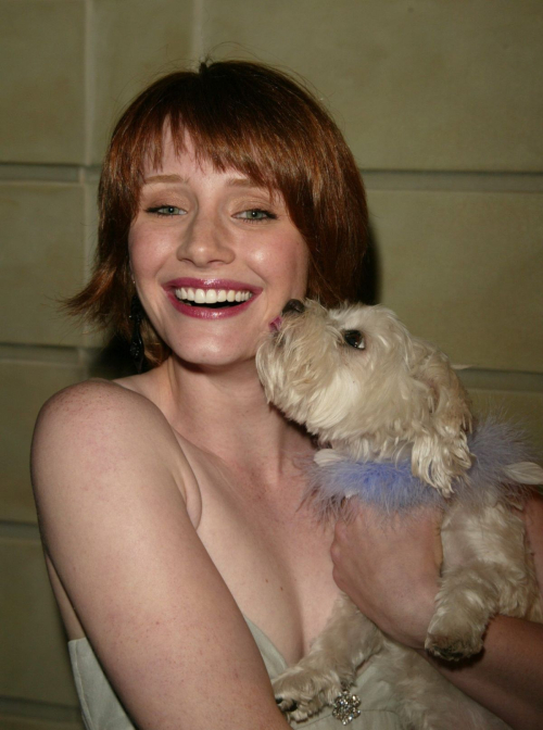 Bryce Dallas Howard at National Arts Club Stella by Starlight Gala 6