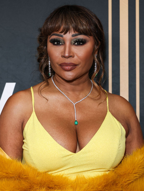 Cynthia Bailey at 2nd Annual Gurus Awards Los Angeles 3