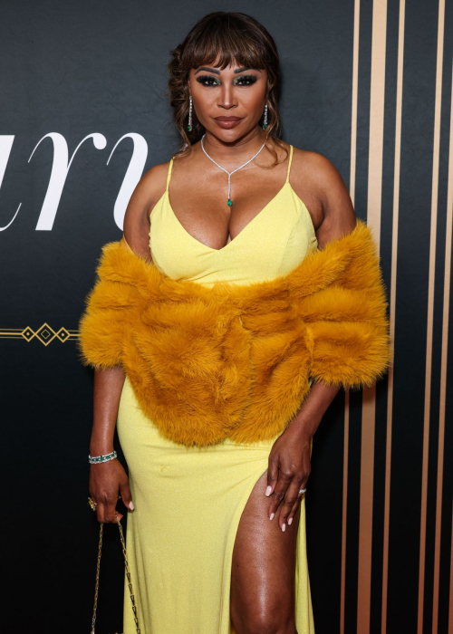 Cynthia Bailey at 2nd Annual Gurus Awards Los Angeles 4
