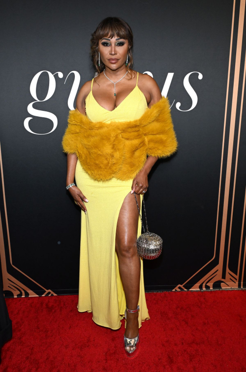 Cynthia Bailey at 2nd Annual Gurus Awards Los Angeles 5