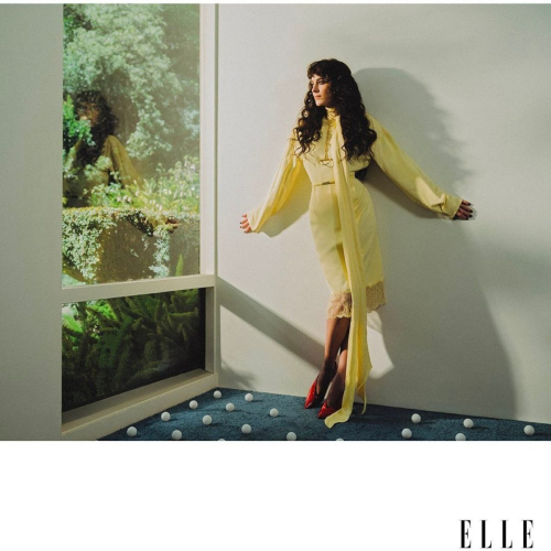 Dakota Johnson Elle Brasil Photoshoot 2025 1