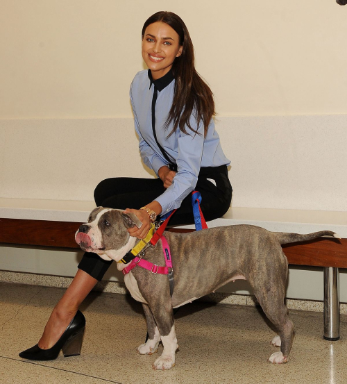 Irina Shayk at ASPCA Adoption Center New York City 2015 1