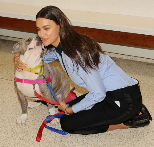 Irina Shayk at ASPCA Adoption Center New York City 2015 2