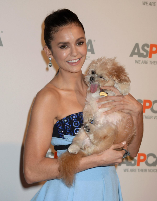 Nina Dobrev at ASPCA Benefit Gala in Beverly Hills, 2016 6
