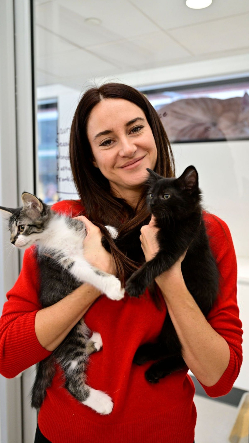 Shailene Woodley at Mars Global Adoption Weekend New York City, September 2025 1