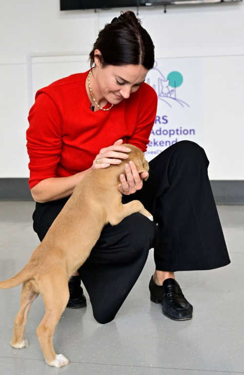 Shailene Woodley at Mars Global Adoption Weekend New York City, September 2025 6