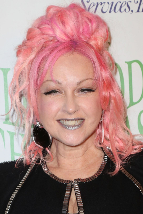 Cyndi Lauper 85th Annual Hollywood Christmas Parade, 2016 4