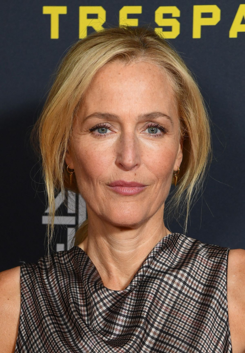 Gillian Anderson at Trespasses Photocall London, November 2025 1