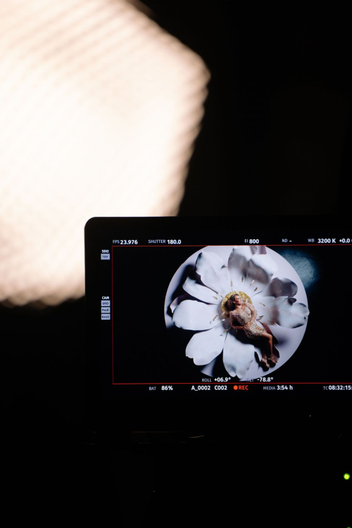 Hilary Duff for Vogue Magazine, November 2025 2