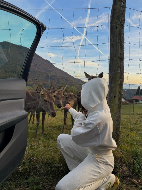 Komal Ilsanker Instagram Photos and Video, November 2025 2