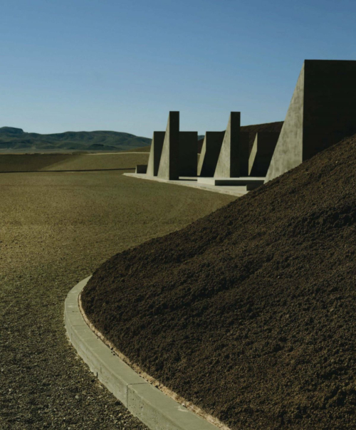 Timothee Chalamet Vogue US Magazine, December 2025 8