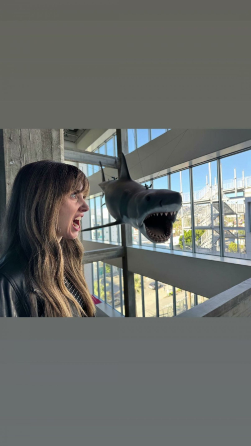 Alison Brie Shares New Instagram Style, December 2025 16