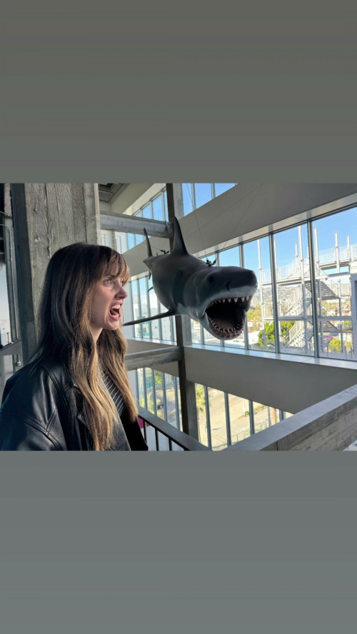 Alison Brie Shares New Instagram Style, December 2025 17