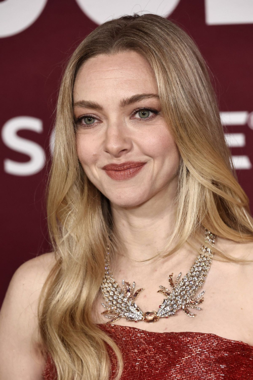 Amanda Seyfried at The Housemaid Premiere in LA, December 2025 4