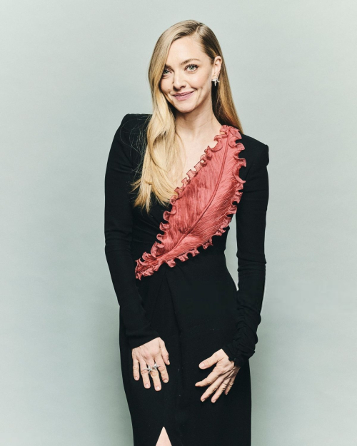 Amanda Seyfried Gotham Awards Portrait Studio, December 2025 6