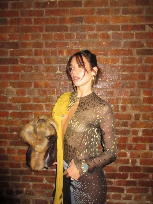 Dua Lipa Poses at New Photoshoot, December 2025 3