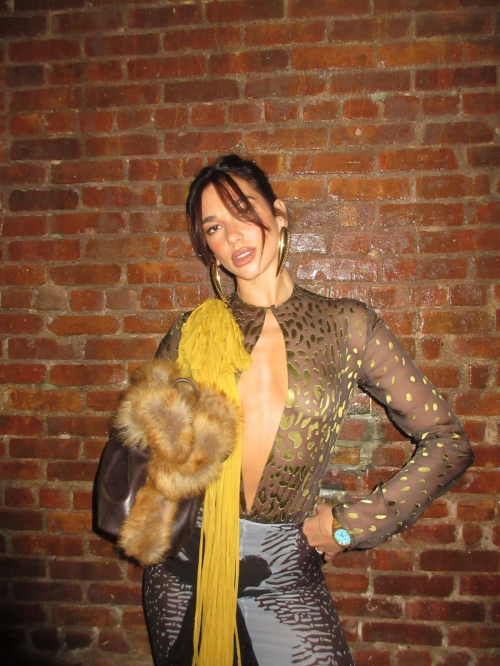 Dua Lipa Poses at New Photoshoot, December 2025 4